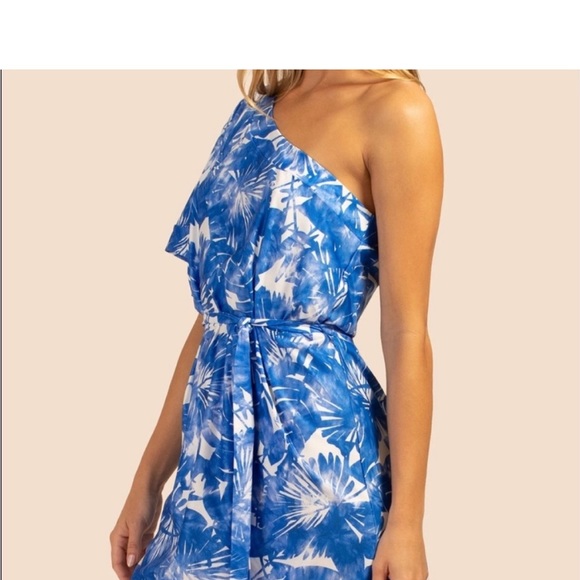 🆕Trina Turk “Basque” Swim Dress/Coverup, Size L - Picture 6 of 11